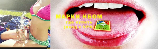 эйфоретик Баксан