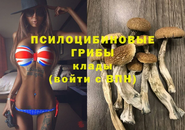 эйфоретик Баксан