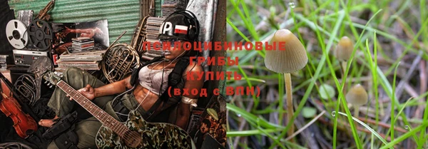 эйфоретик Баксан