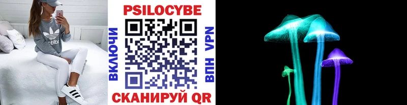 Псилоцибиновые грибы Psilocybine cubensis  Покровск 